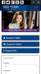 Mobile Screenshot of coloradomodels.net